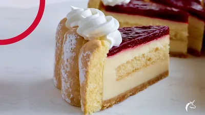 Kreativ Charlotte Cheesecake