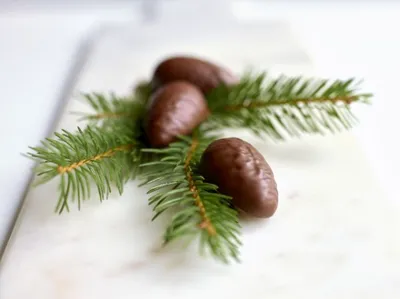 Plant-Based pine fruit Chocolate
