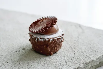 Winter Plant-Based Chocolate Indulgence